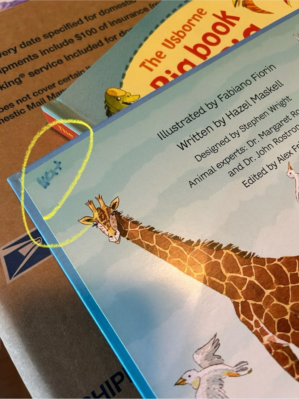 Usborne book of Big Animals and Big Dinosaurs